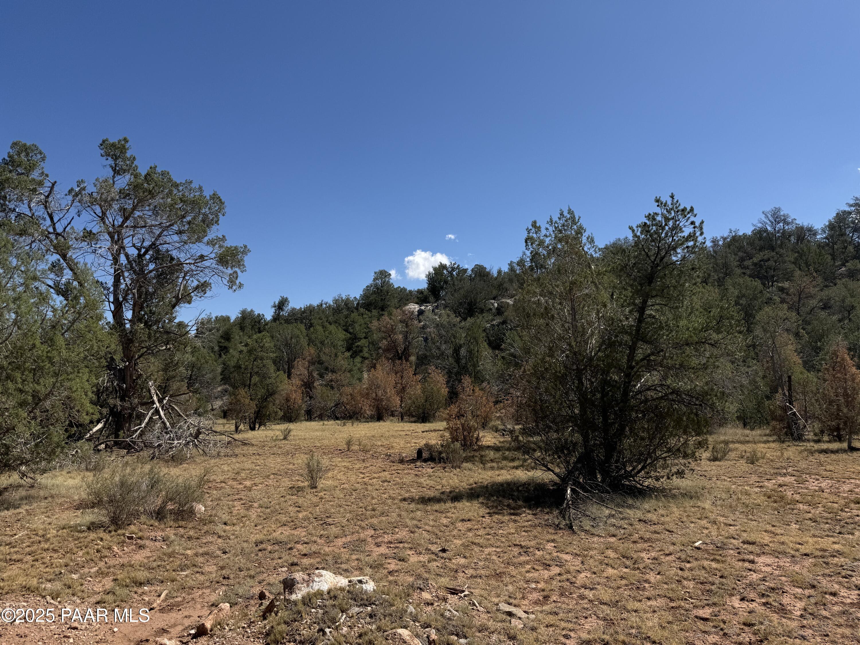 Lot 99 Shadow Rock Ranch Seligman, AZ 86337 - Photo 2 of 17 a view of a yard with a tree