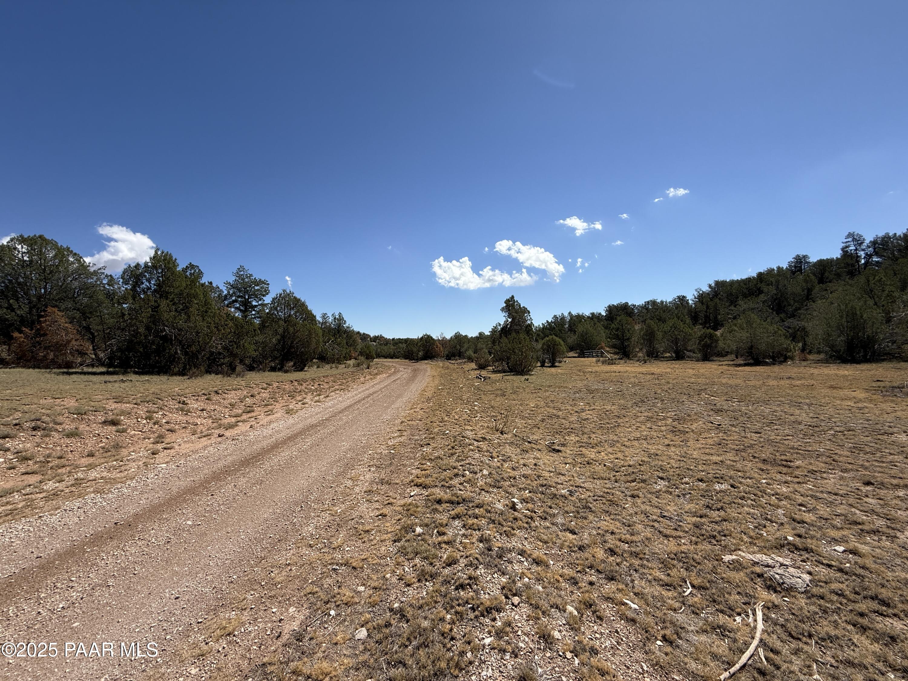 Lot 99 Shadow Rock Ranch Seligman, AZ 86337 - Photo 8 of 17 a view of lake view and mountain view