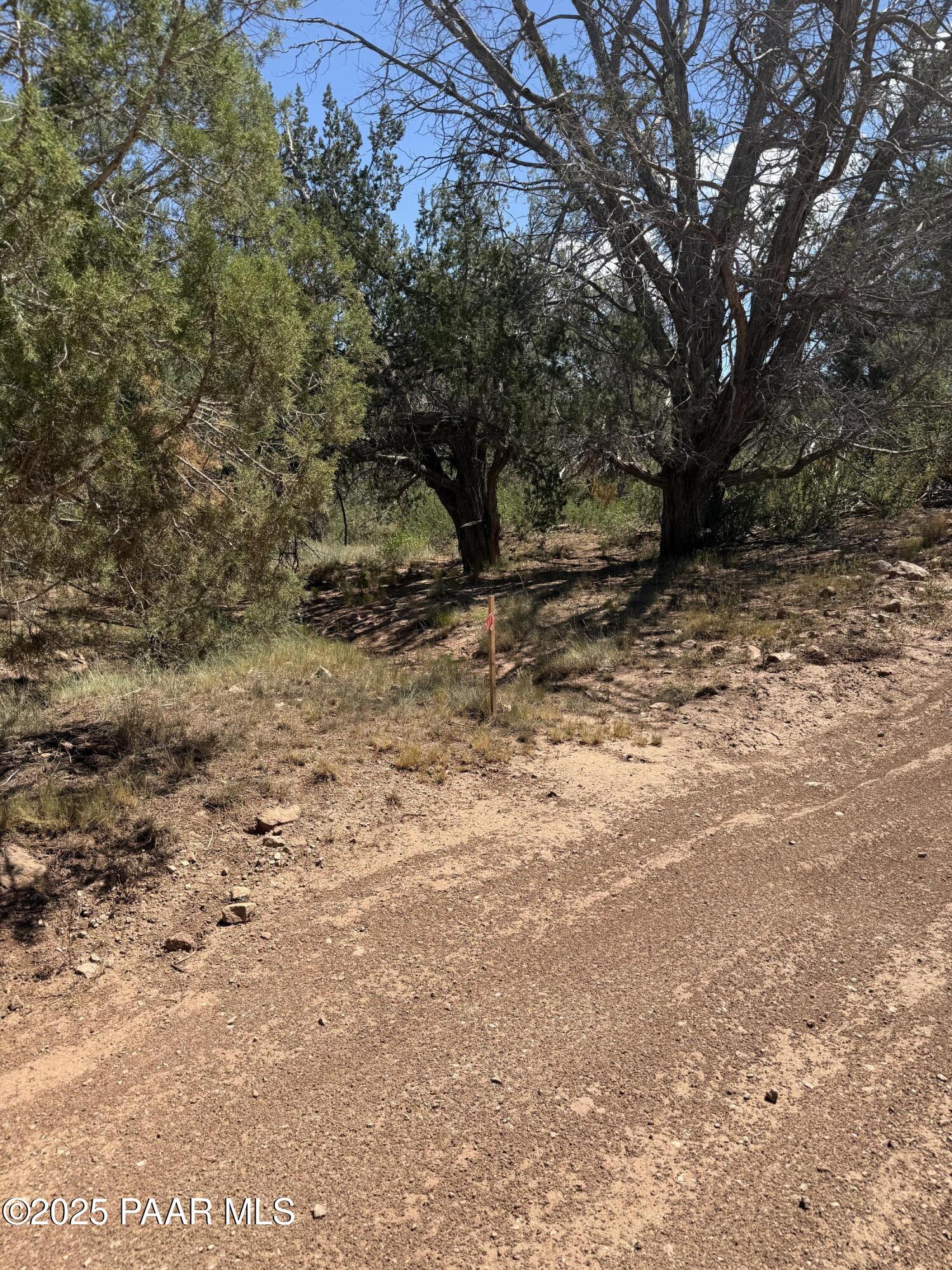 Lot 99 Shadow Rock Ranch Seligman, AZ 86337 - Photo 9 of 17 a view of a yard with a tree