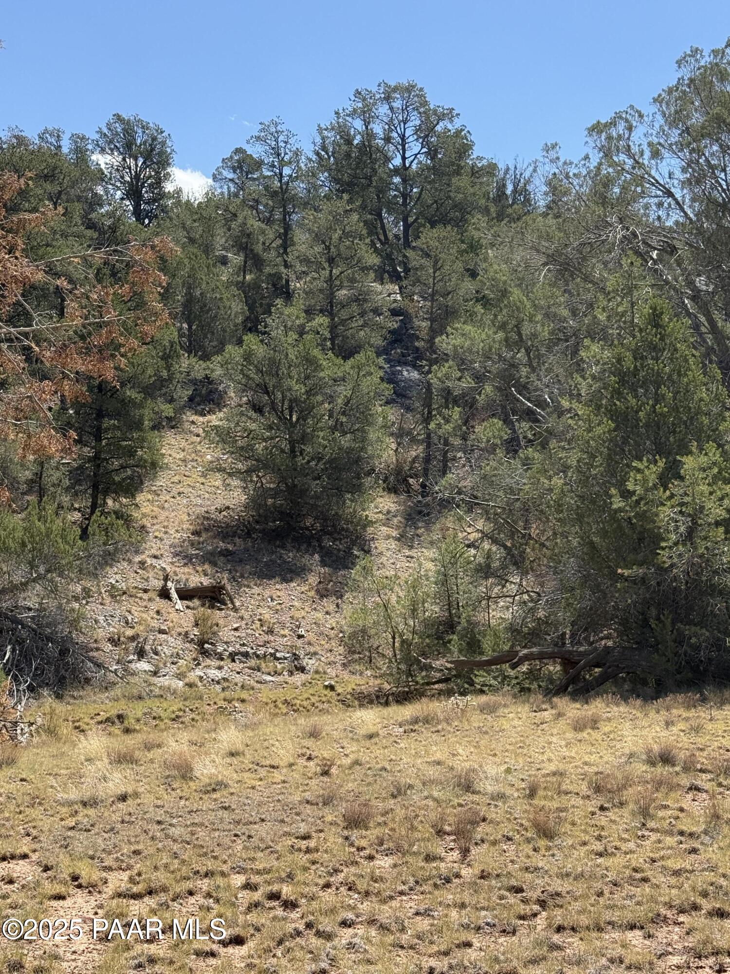 Lot 99 Shadow Rock Ranch Seligman, AZ 86337 - Photo 10 of 17 a view of a yard
