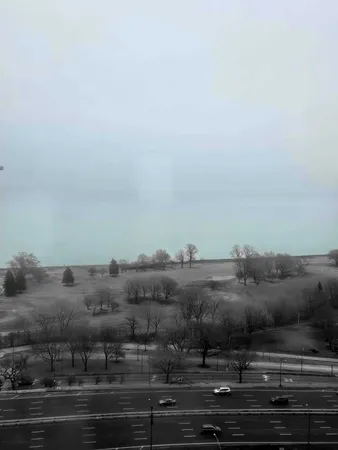 $207,000 | 3950 North Lake Shore Drive, Unit 2312, Chicago, IL 60613