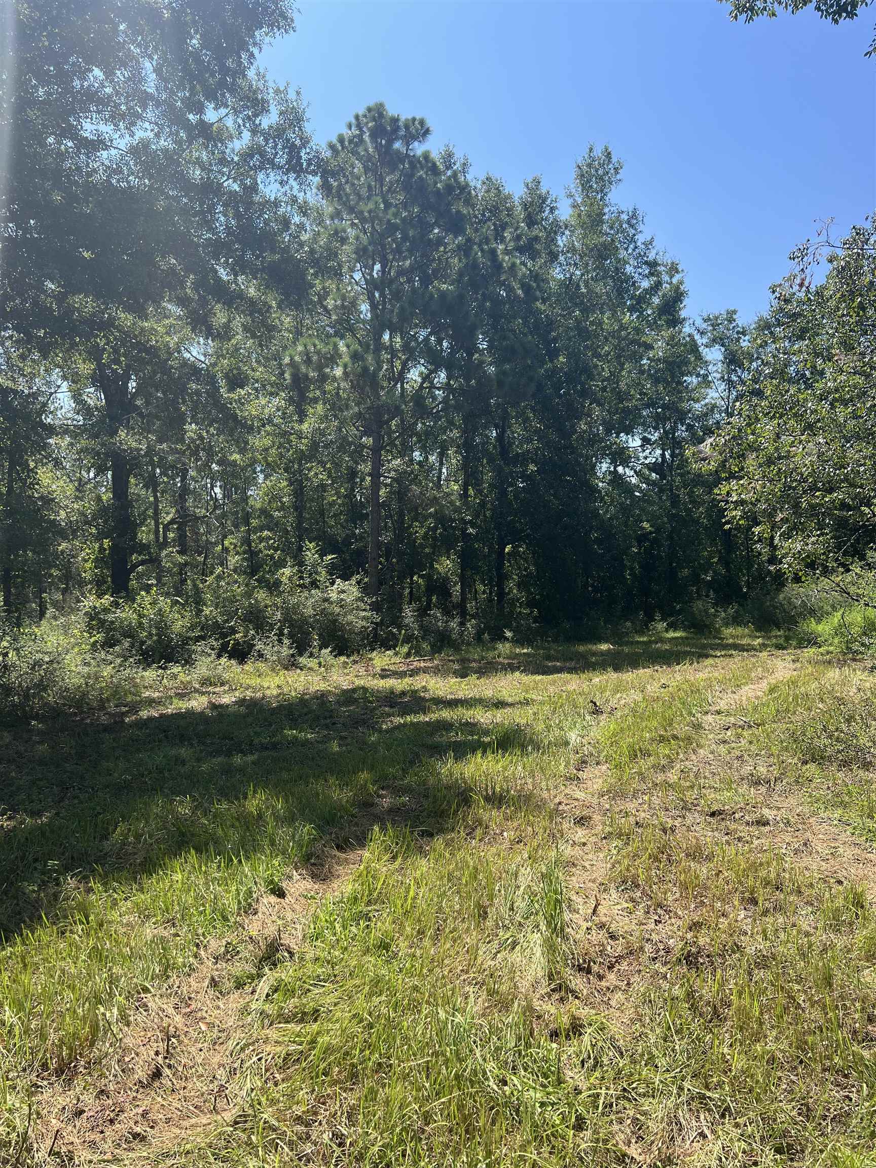0 Cactus Court Elberta, AL 36530 - Photo 24 of 24