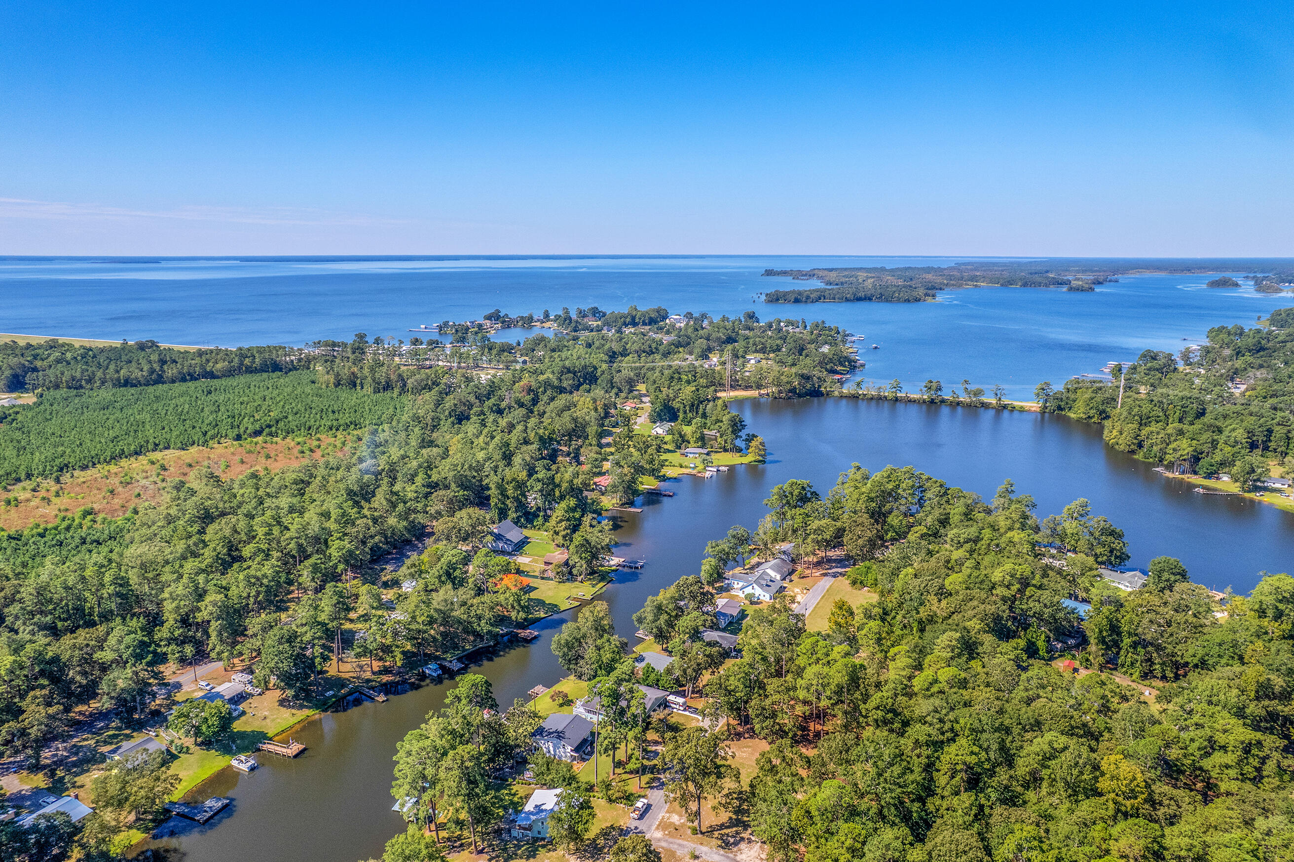 1223 Delano Street Manning, SC 29102 - Photo 55 of 73 Zyndicate2454
