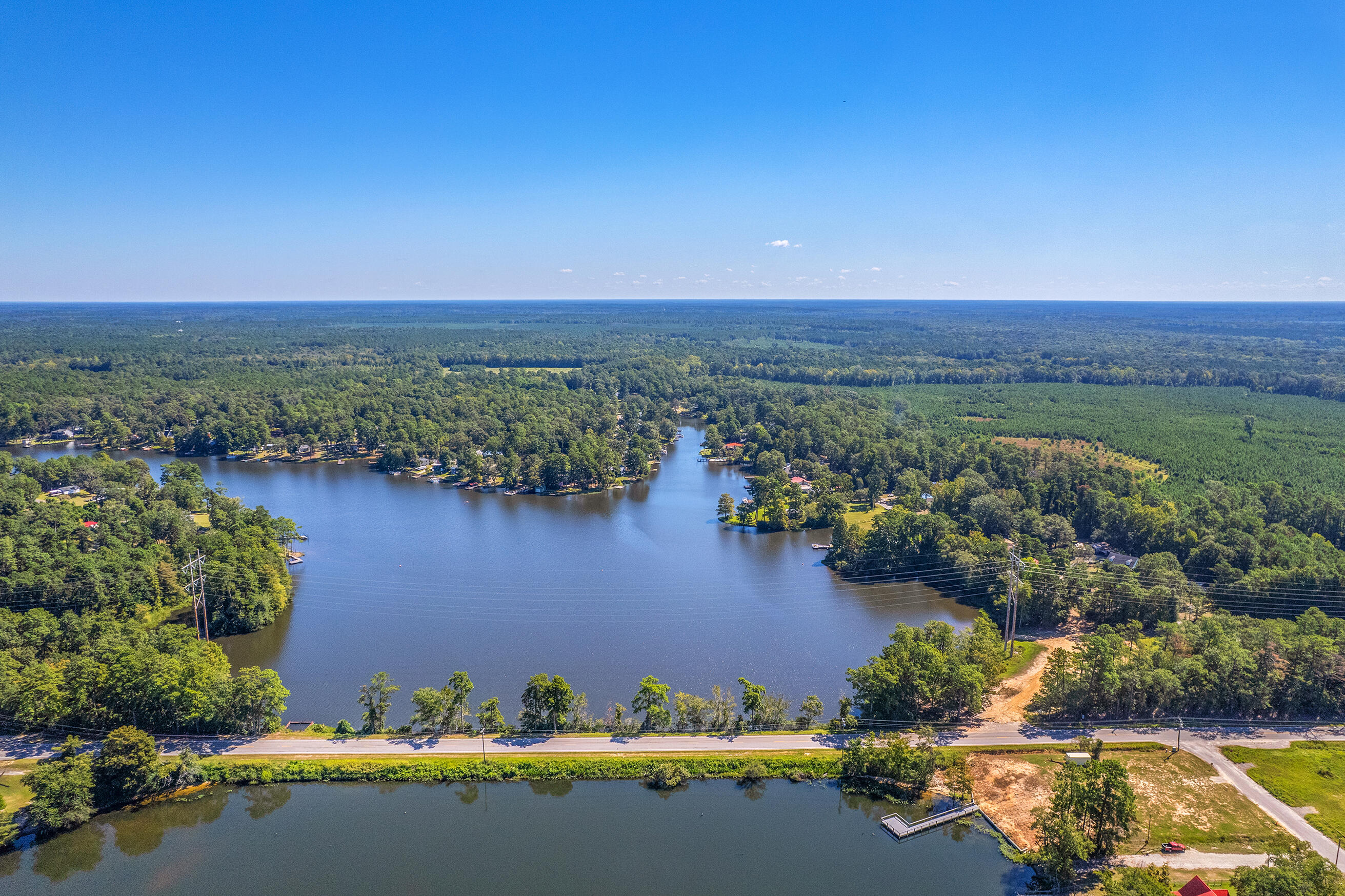 1223 Delano Street Manning, SC 29102 - Photo 68 of 73 Zyndicate2467