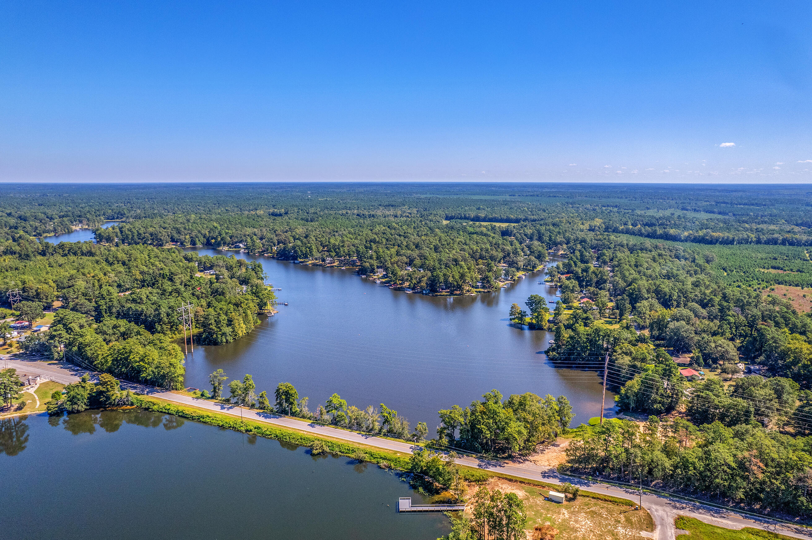 1223 Delano Street Manning, SC 29102 - Photo 69 of 73 Zyndicate2468