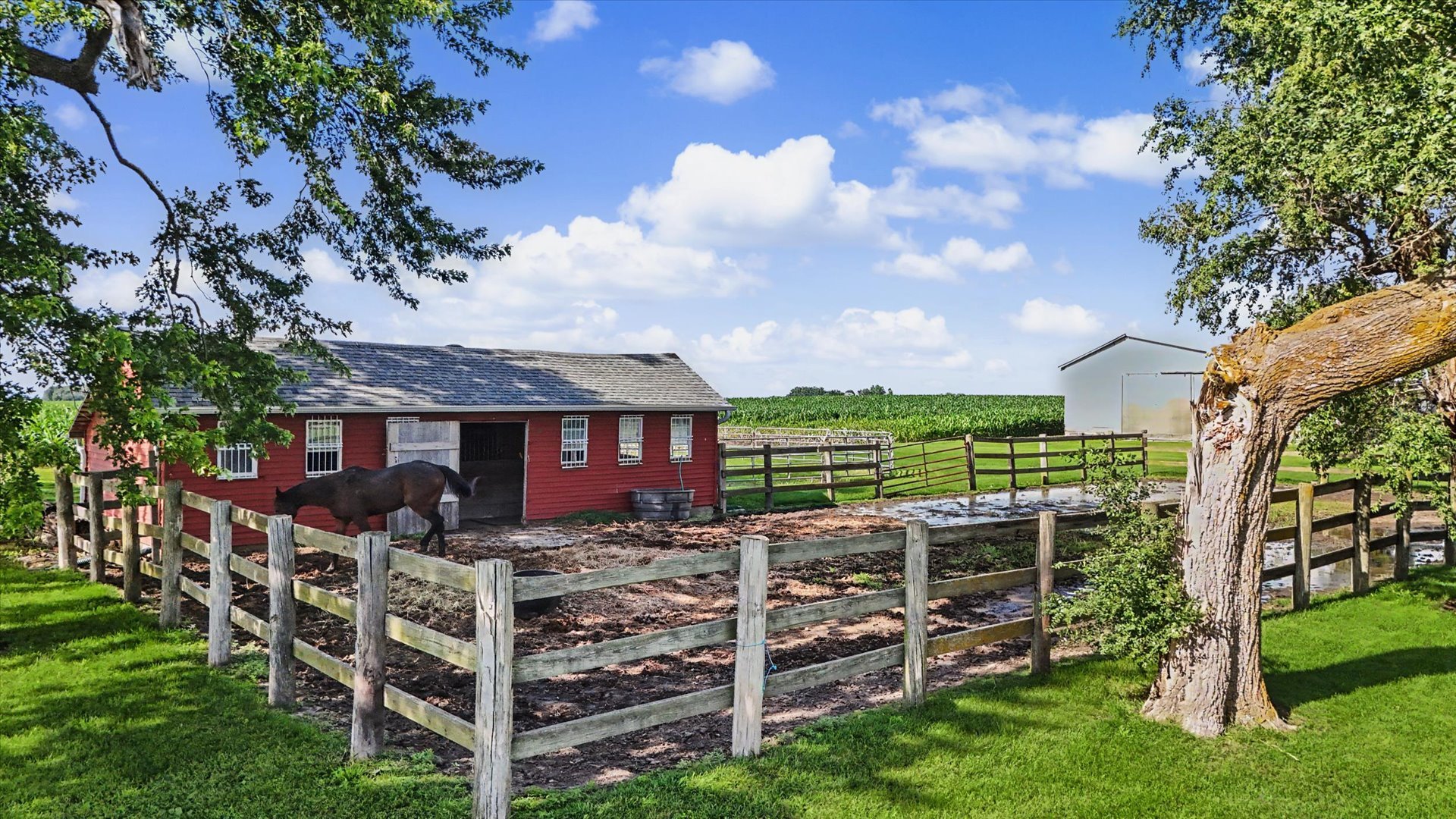 1152 County Road 2900 North Rantoul, IL 61866 - Photo 6 of 53
