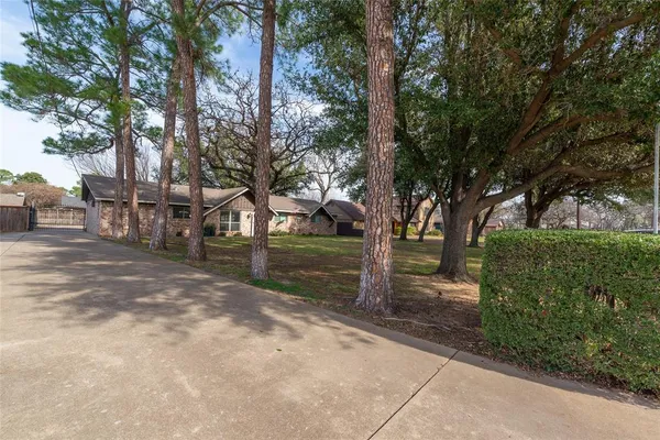 a view of backyard