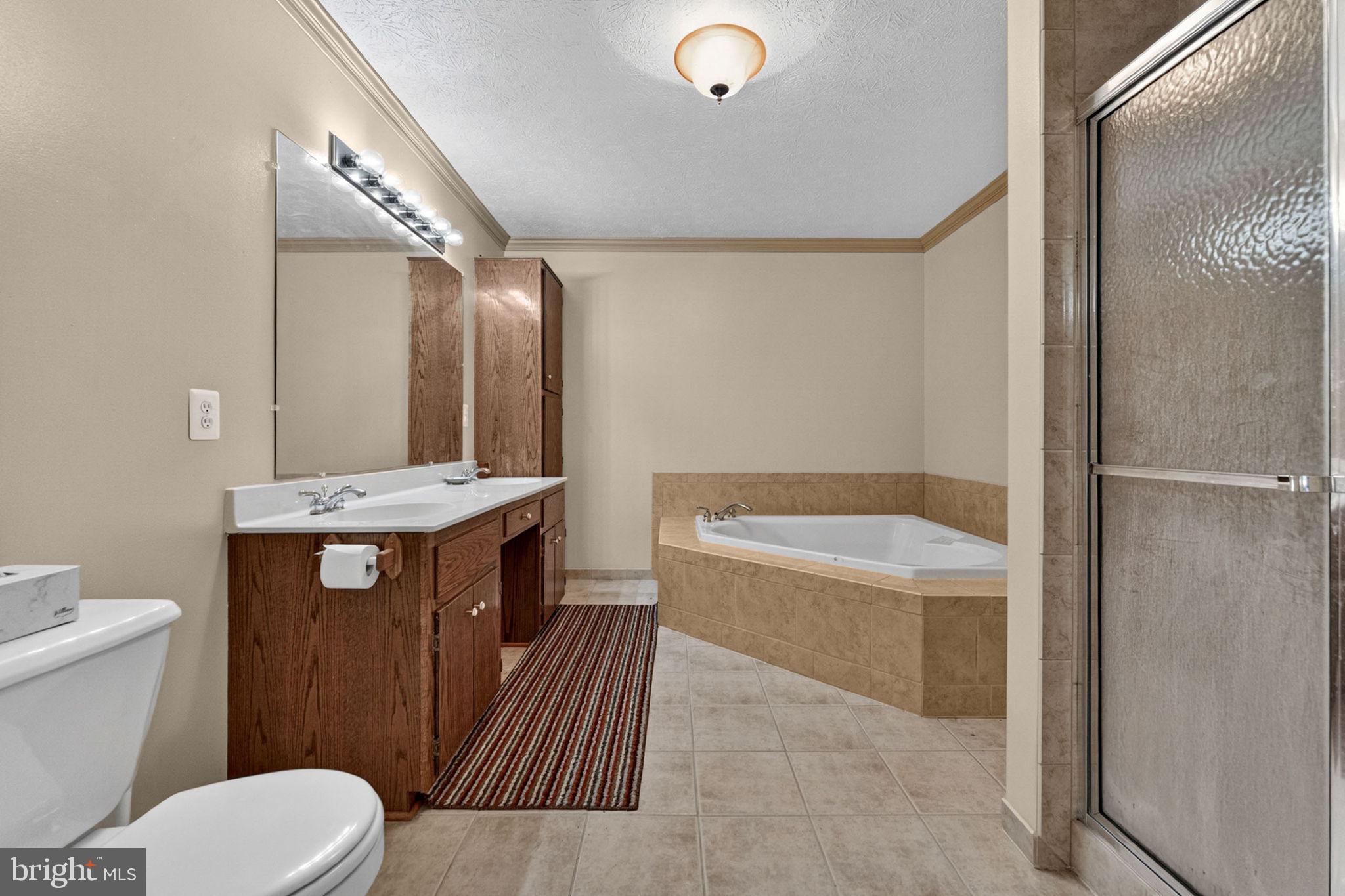6315 Ida Road Stanley, VA 22851 - Photo 43 of 83 Primary En Suite Bathroom