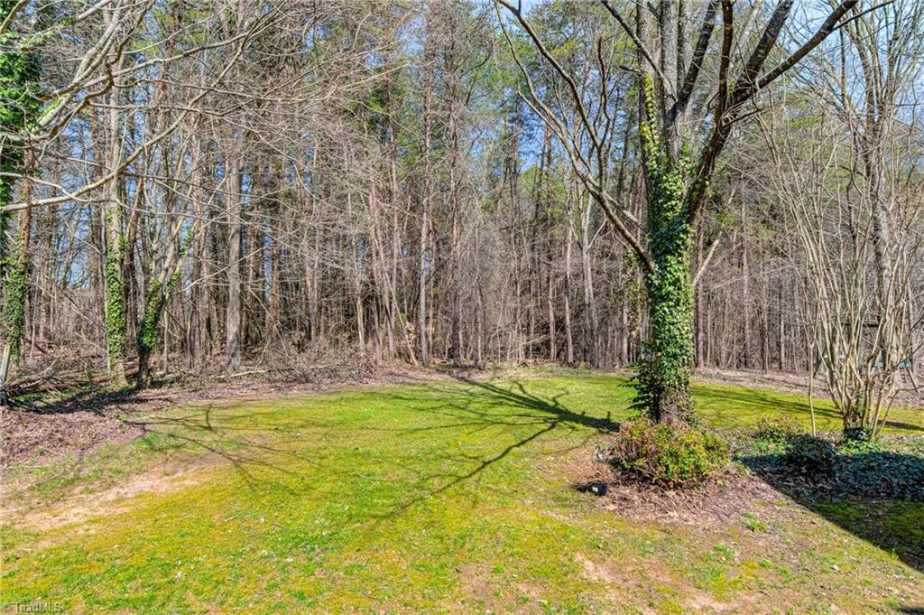 4511 Calabria Court High Point, NC 27265 - Photo 39 of 40 back yard