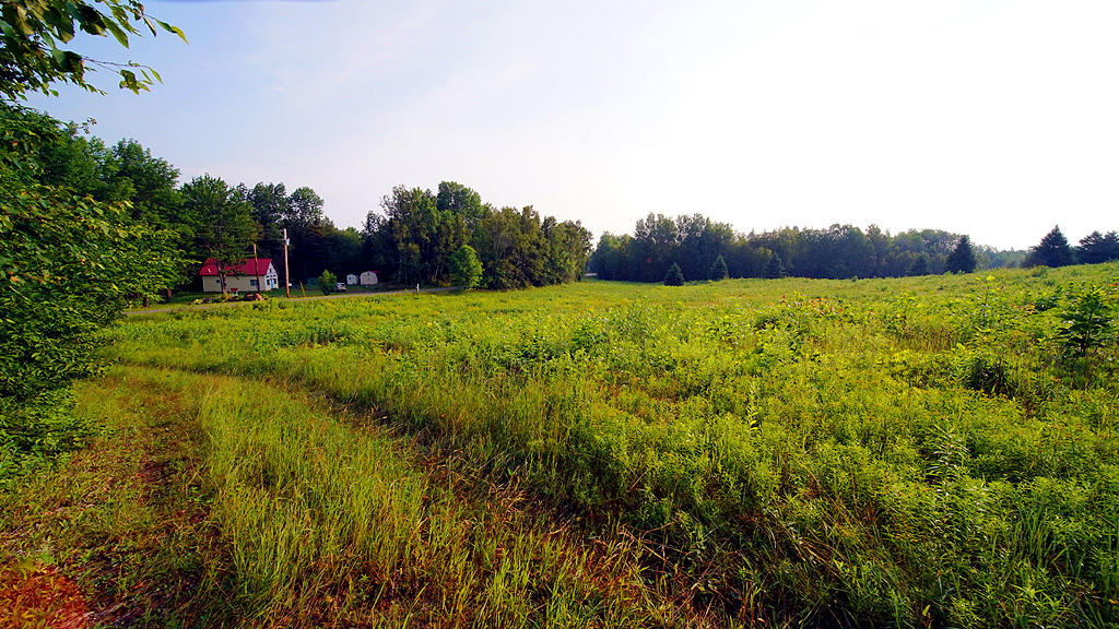 Lot 9-1 New Limerick Road Houlton, ME 04730 - Photo 33 of 40 leisner-maine-land-22