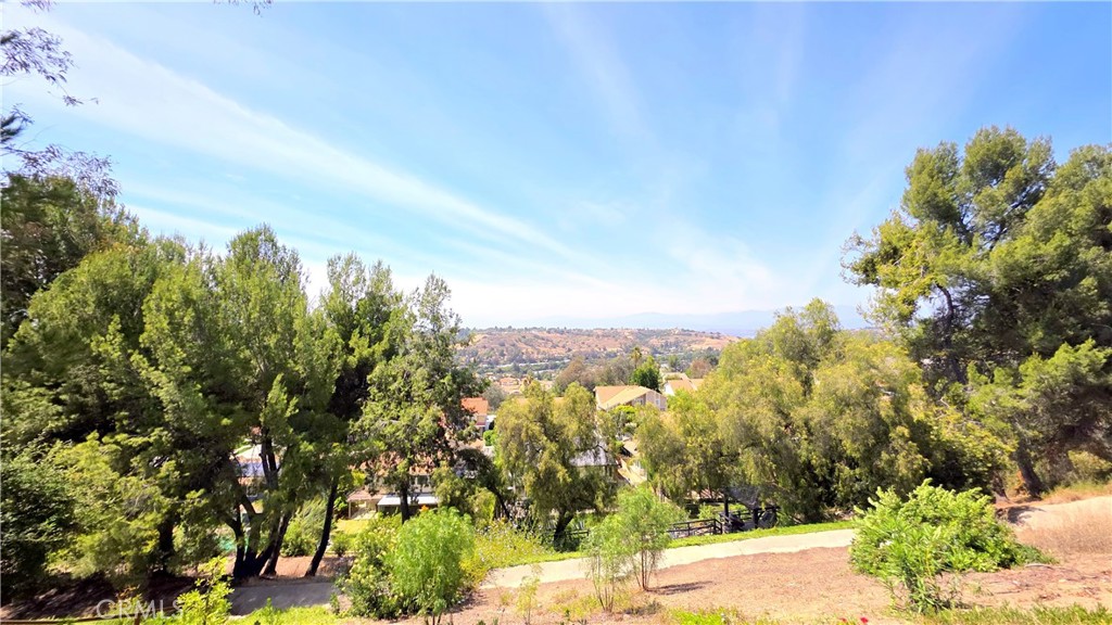 21355 Chirping Sparrow Road Diamond Bar, CA 91765 - Photo 31 of 35