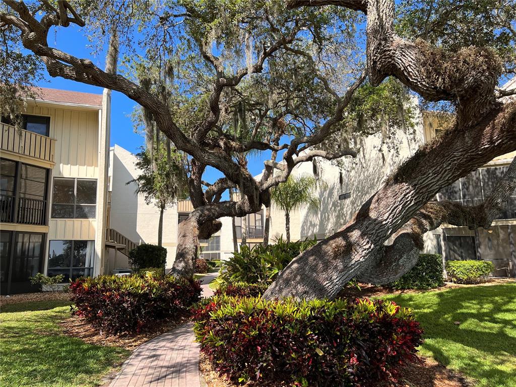 6157 Midnight Pass Road, Unit E23 Sarasota, FL 34242 - Photo 1 of 1 Pathway through the buildings at Bay Oaks