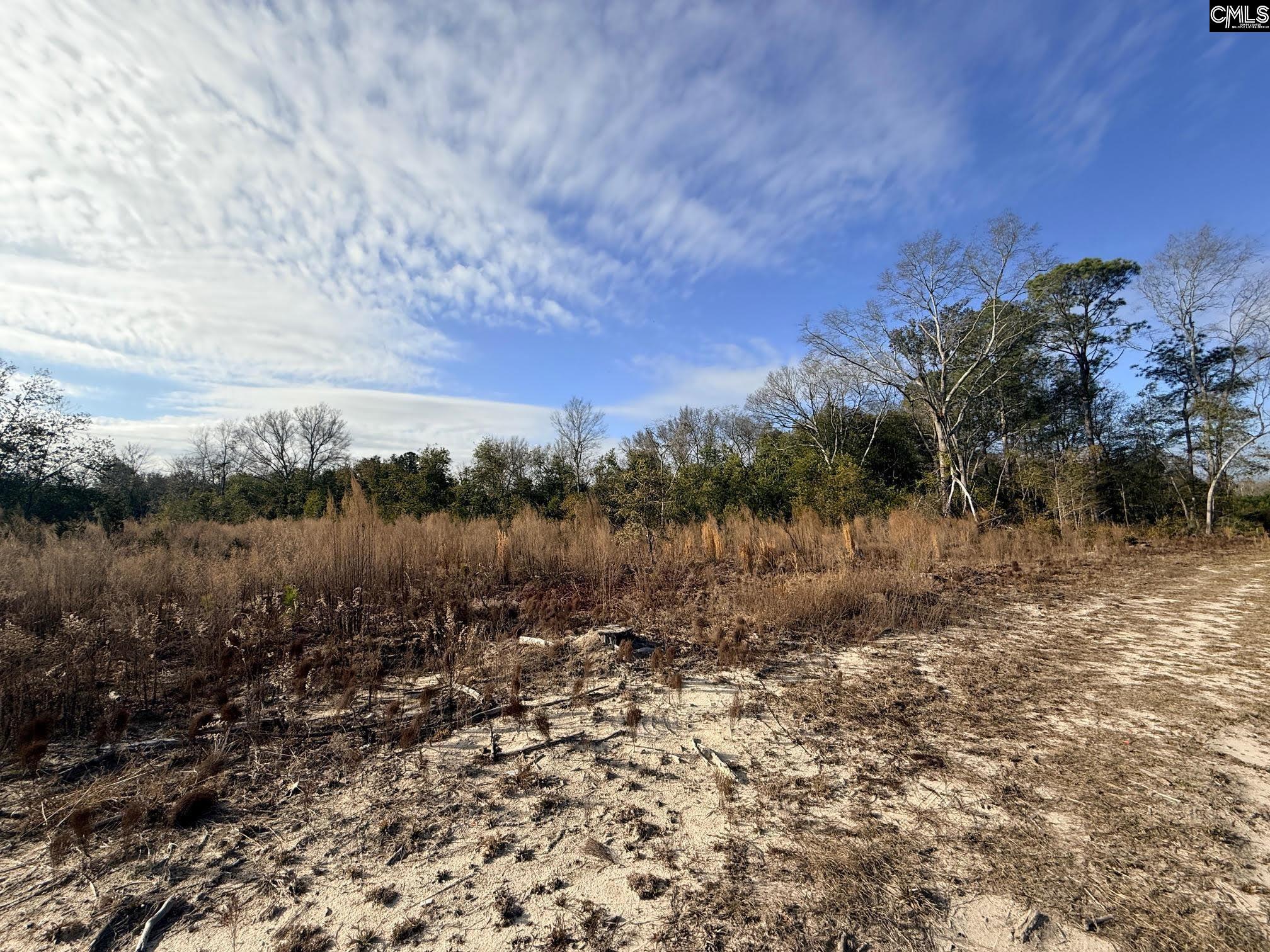 0 Festival Trail Road Salley, SC 29137 - Photo 7 of 8