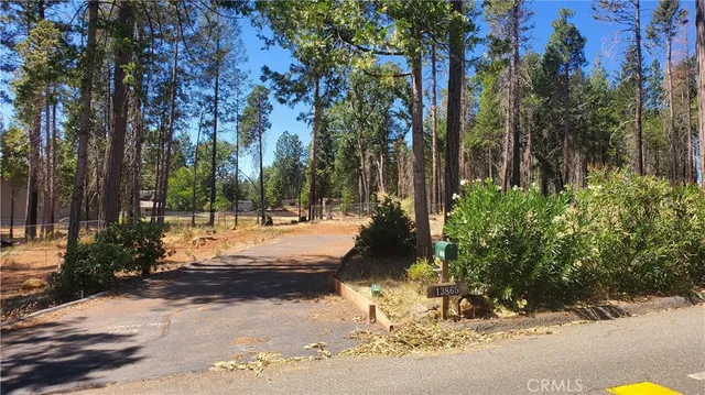 a view of a yard with plants