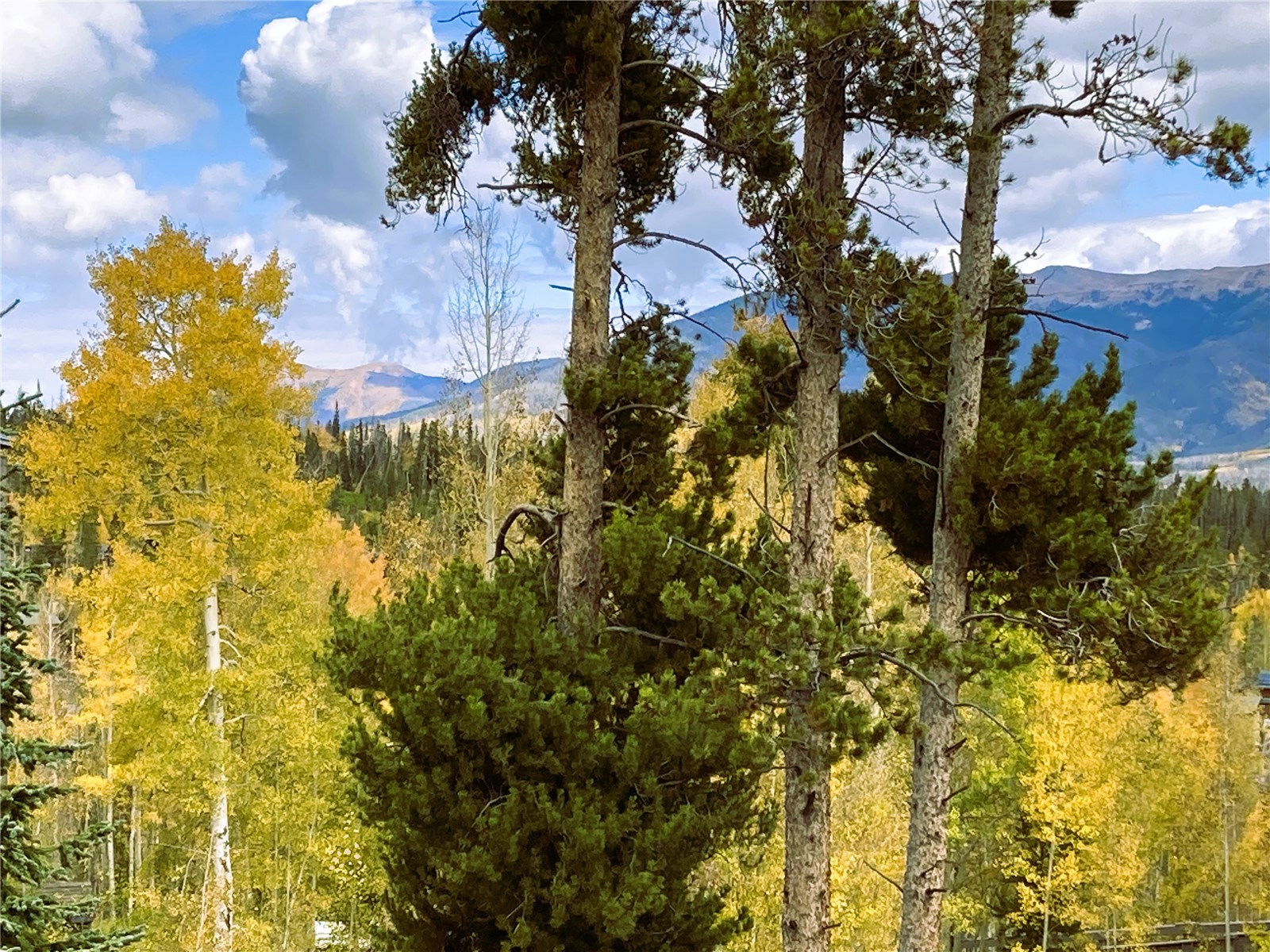 8500 Ryan Gulch Road, Unit 301 Silverthorne, CO 80498 - Photo 27 of 49 a view of a garden