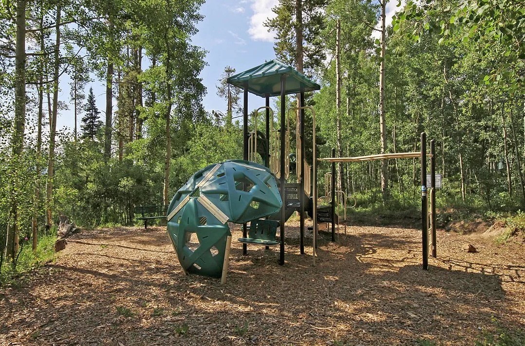 8500 Ryan Gulch Road, Unit 301 Silverthorne, CO 80498 - Photo 34 of 49 a view of a bench in a backyard