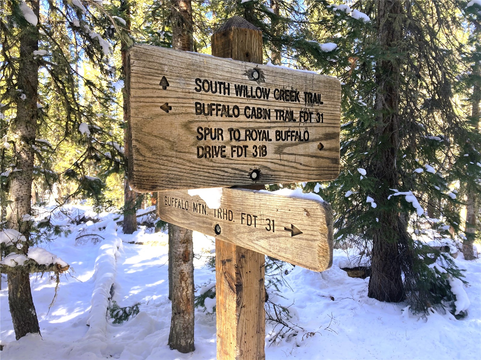 8500 Ryan Gulch Road, Unit 301 Silverthorne, CO 80498 - Photo 39 of 49 a front view of a building with trees