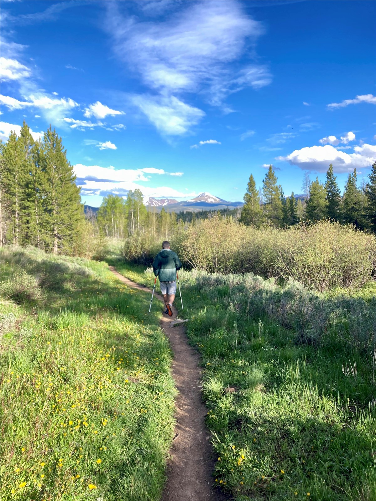 8500 Ryan Gulch Road, Unit 301 Silverthorne, CO 80498 - Photo 44 of 49 a view of a lake with a yard