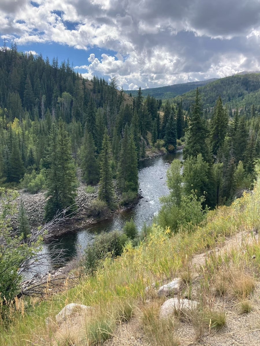 8500 Ryan Gulch Road, Unit 301 Silverthorne, CO 80498 - Photo 49 of 49 a view of a lake with green space