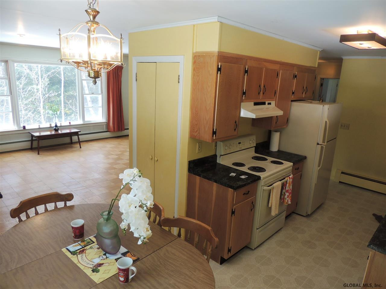 455 County Route 353 Rensselaerville, NY 12147 - Photo 3 of 11 Photo 3