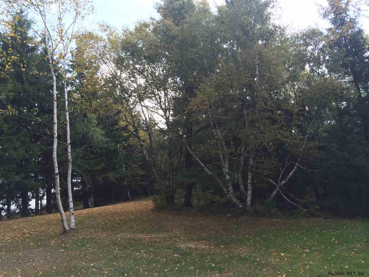 455 County Route 353 Rensselaerville, NY 12147 - Photo 7 of 11 Photo 7