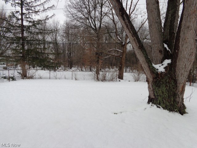 7306 Maplewood Road Parma, OH 44130 - Photo 2 of 21 Rear Yard