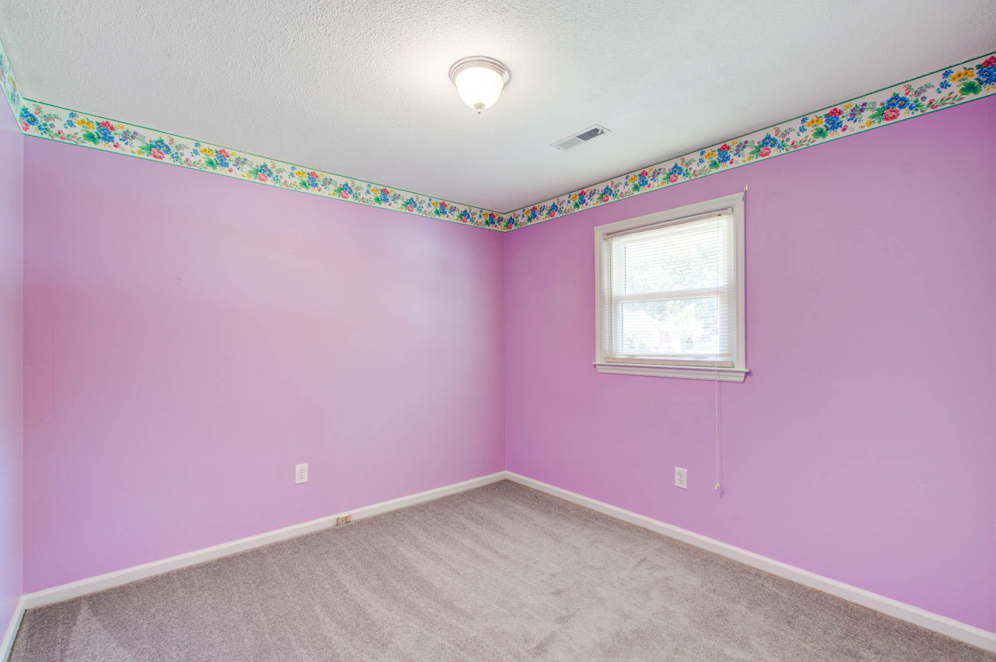 208 Farm Road Goose Creek, SC 29445 - Photo 18 of 27 208 Farm-CalSiglerPhotography (12)