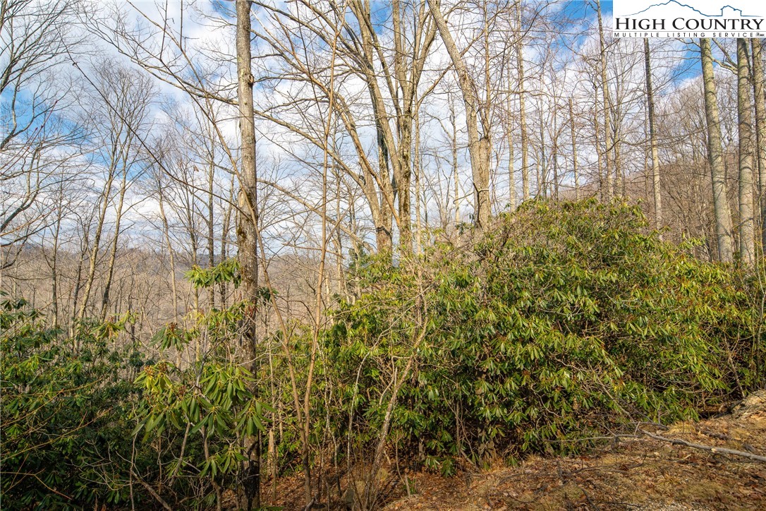 1122 Pine Ridge Road Beech Mountain, NC 28604 - Photo 36 of 38 a view of a yard