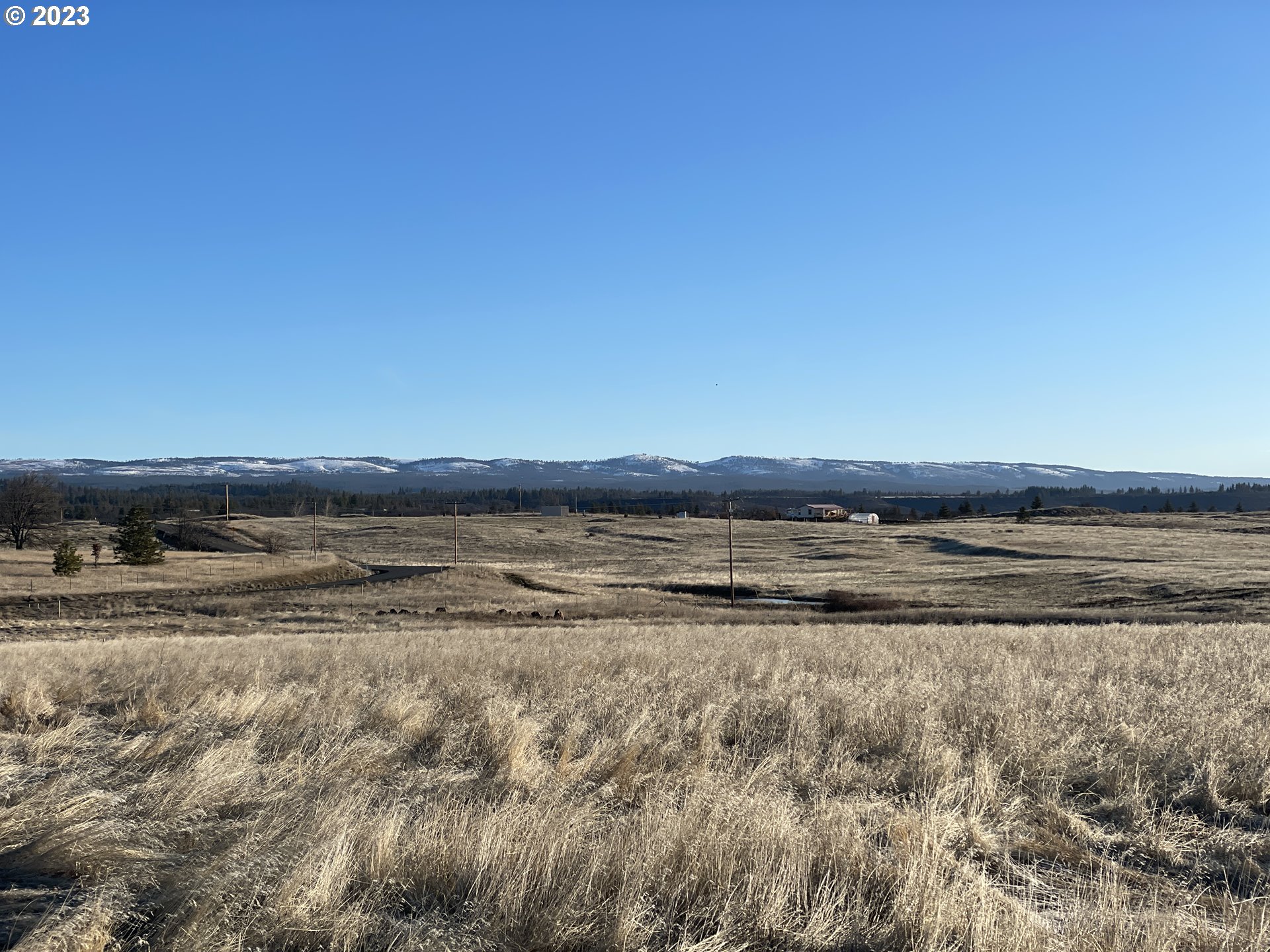 721 Woodland Road Goldendale, WA 98620 - Photo 13 of 21 Gallery Image 13