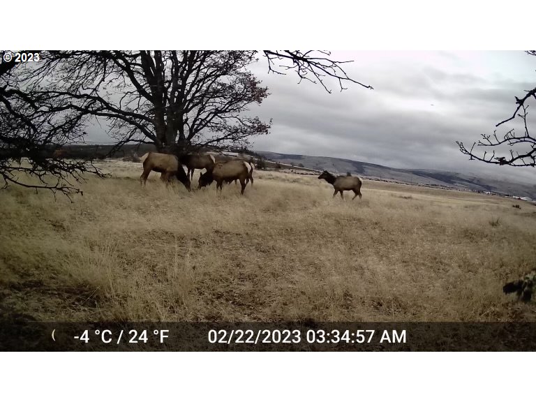 721 Woodland Road Goldendale, WA 98620 - Photo 20 of 21 Gallery Image 20