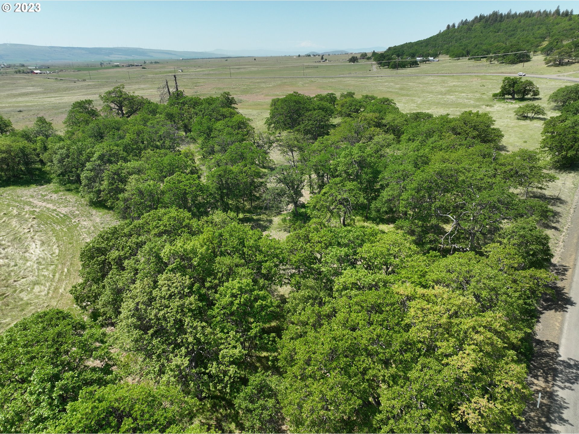 721 Woodland Road Goldendale, WA 98620 - Photo 6 of 21 Gallery Image 6