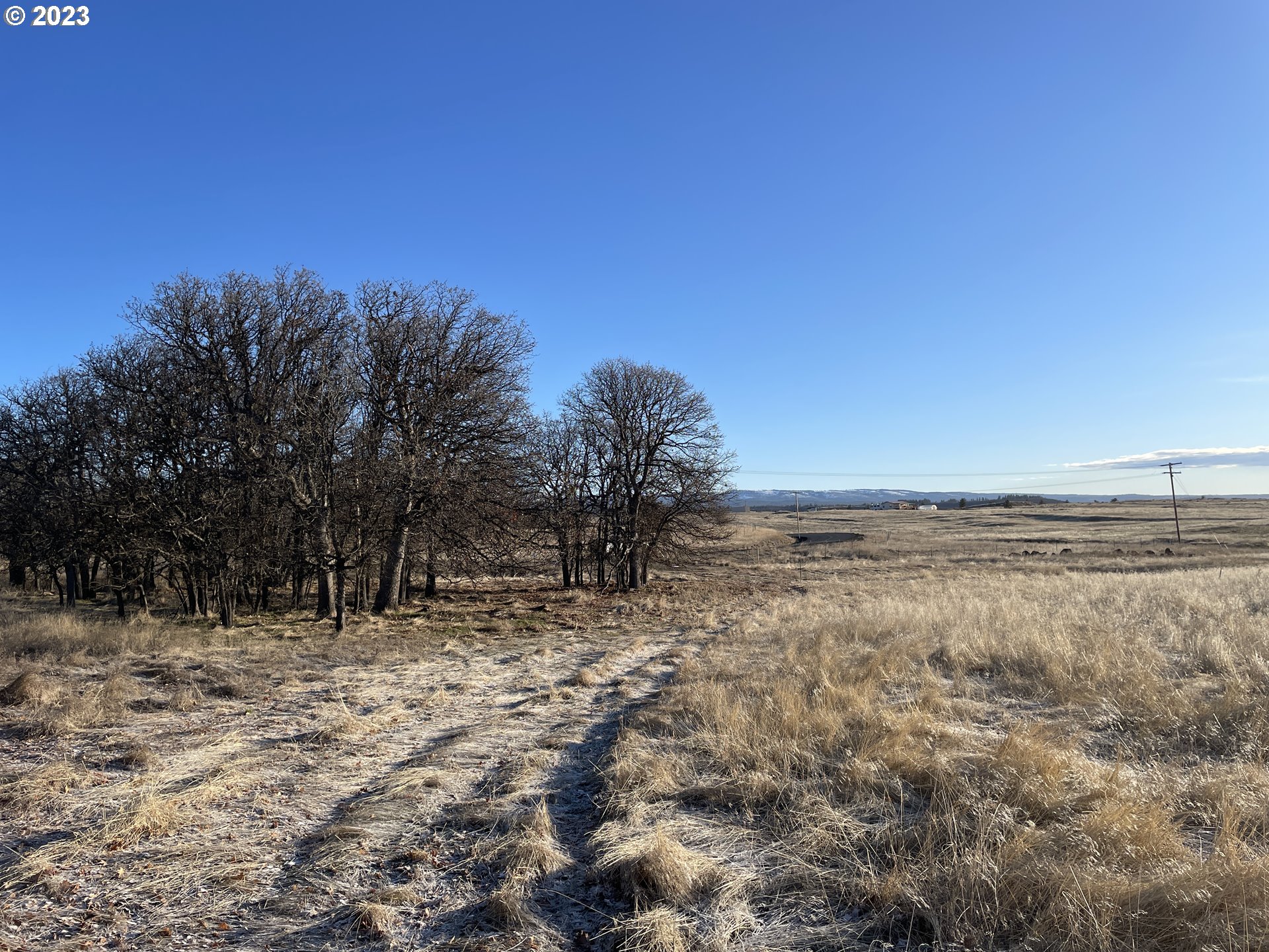 721 Woodland Road Goldendale, WA 98620 - Photo 9 of 21 Gallery Image 9
