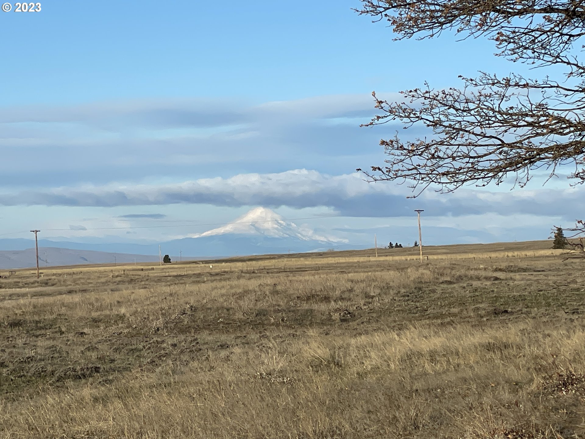 721 Woodland Road Goldendale, WA 98620 - Photo 10 of 21 Gallery Image 10