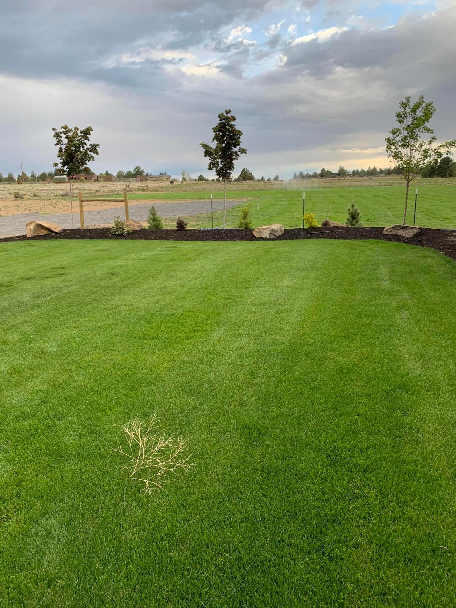 22460 Rickard Road Bend, OR 97702 - Photo 24 of 25 Summer pictures