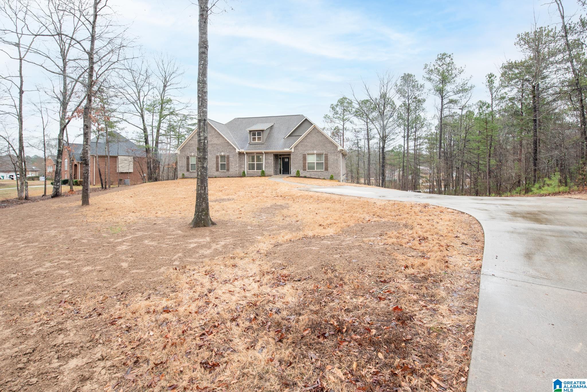 20719 Waters View McCalla, AL 35111 - Photo 5 of 56