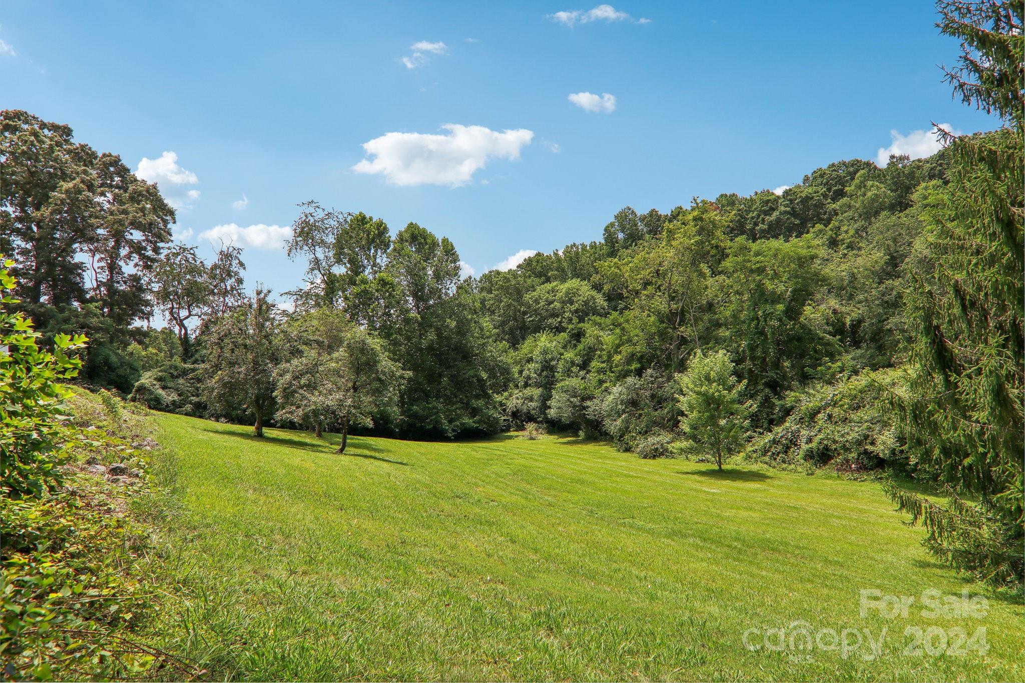 26 Melton Rd Extension Candler, NC 28715 - Photo 34 of 42 Gallery Image 34