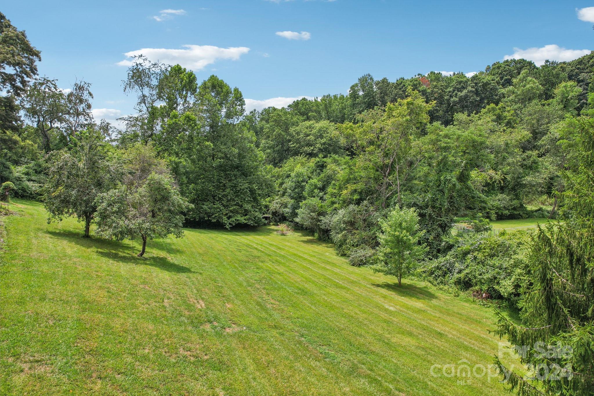 26 Melton Rd Extension Candler, NC 28715 - Photo 41 of 42 Gallery Image 41