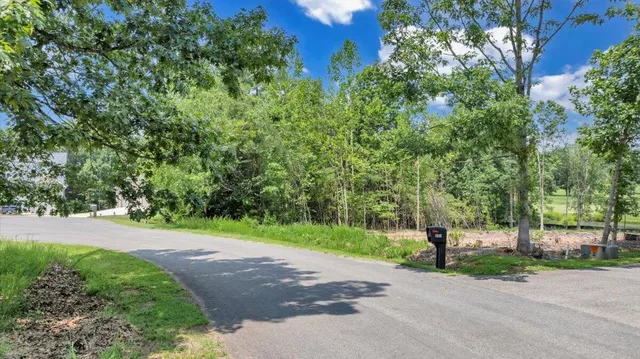 a kitchen with stainless steel appliances cabinets and a window