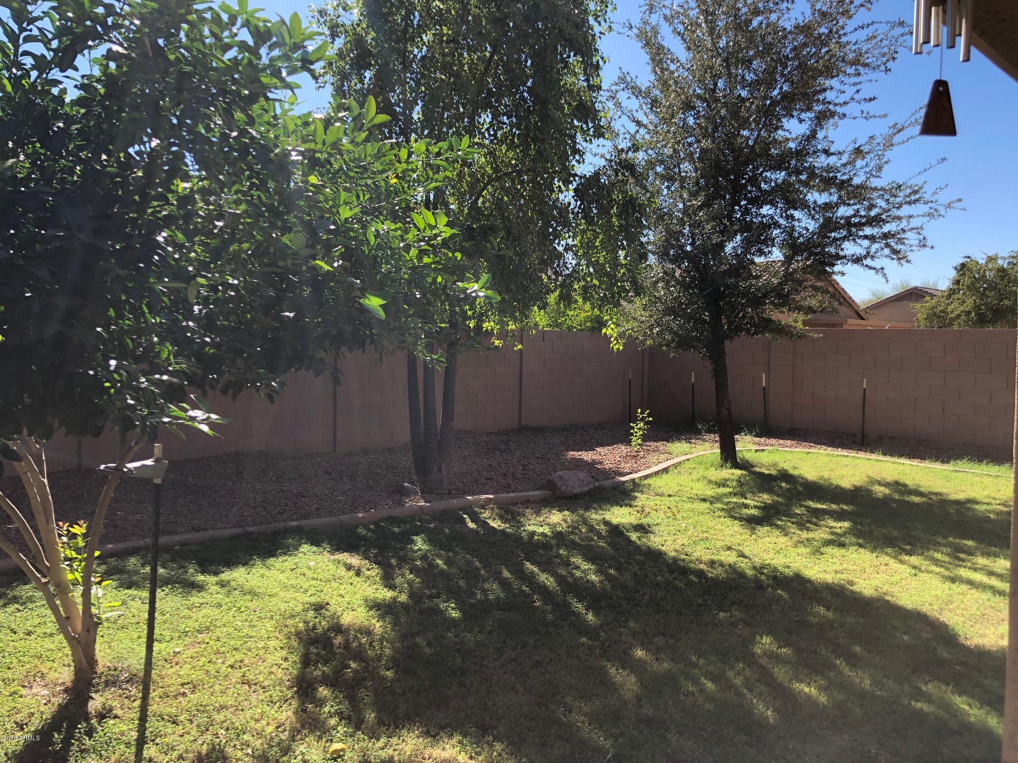 15619 West Calavar Road Surprise, AZ 85379 - Photo 17 of 18 IMG_3679