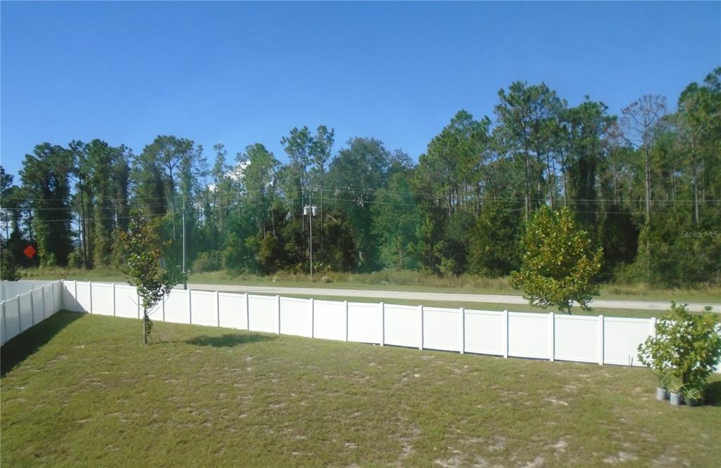 1991 Hemingway Circle Groveland, FL 34736 - Photo 36 of 42