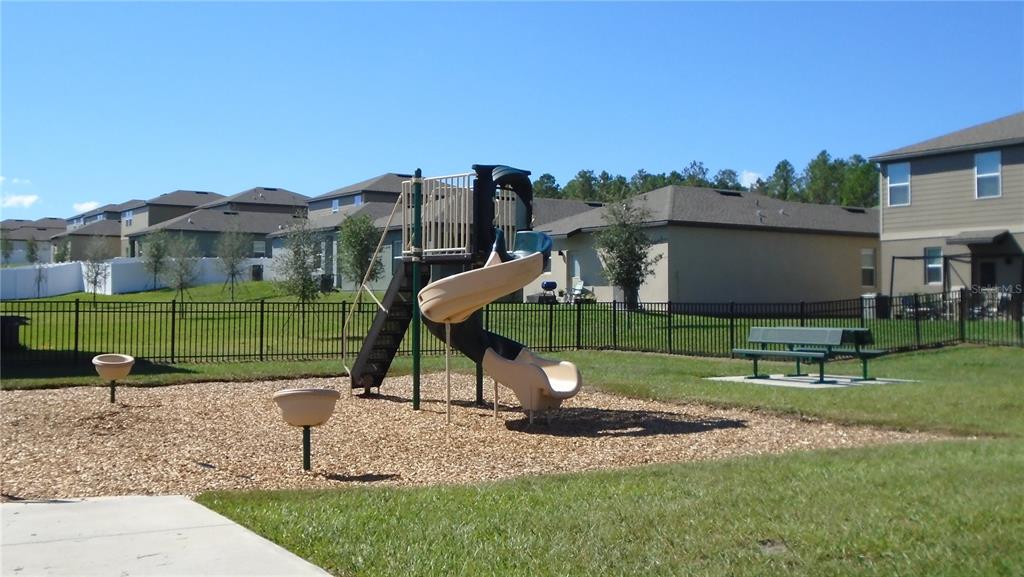 1991 Hemingway Circle Groveland, FL 34736 - Photo 37 of 42