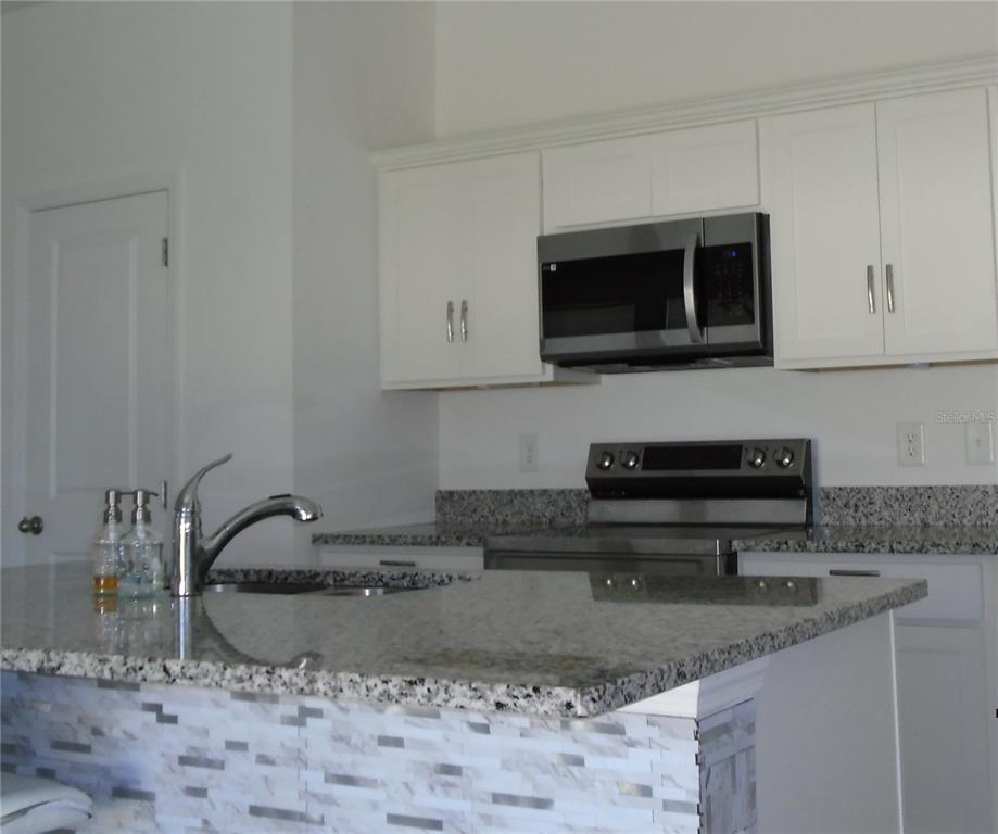 1991 Hemingway Circle Groveland, FL 34736 - Photo 8 of 42