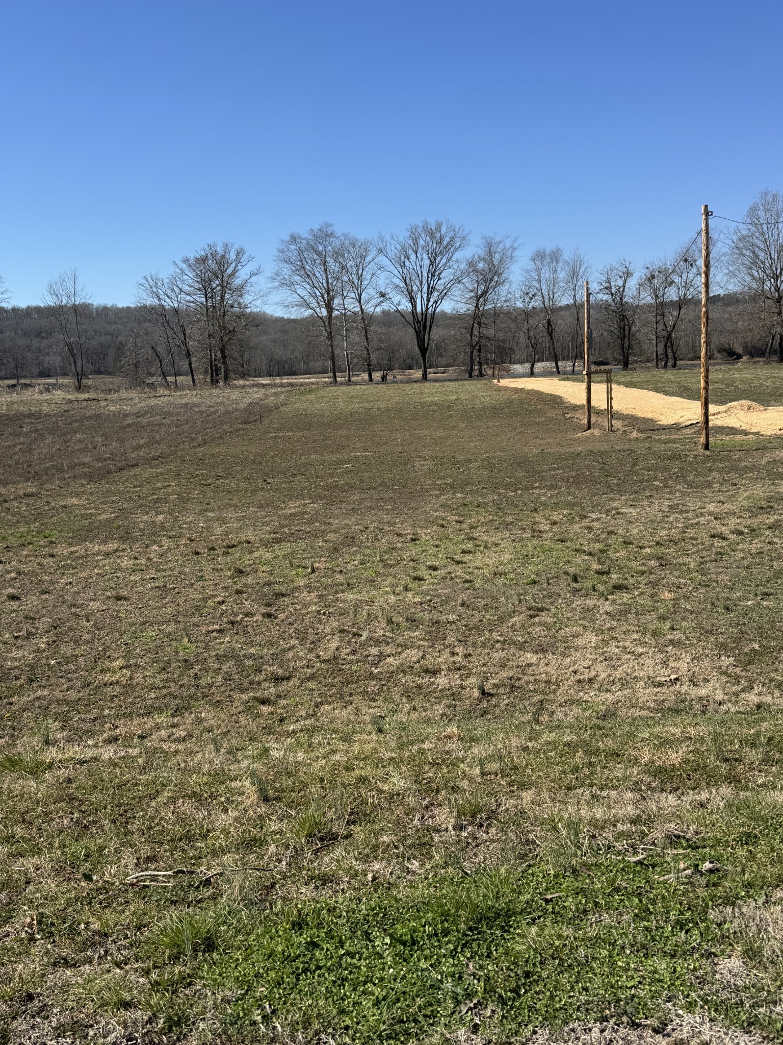 437 Hardin Btm Road Clifton, TN 38425 - Photo 11 of 35