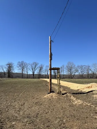 a view of a dry yard