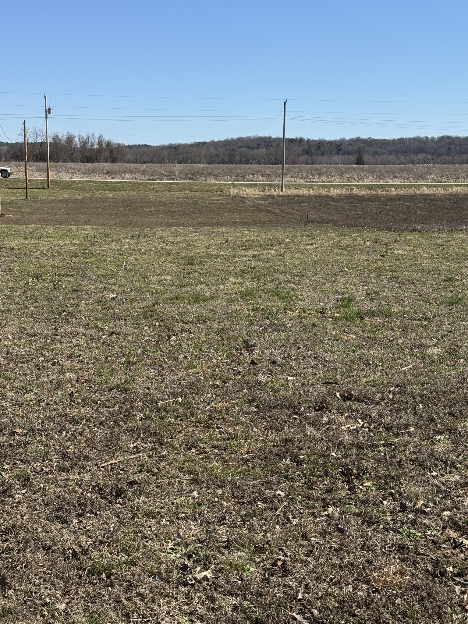 437 Hardin Btm Road Clifton, TN 38425 - Photo 15 of 35