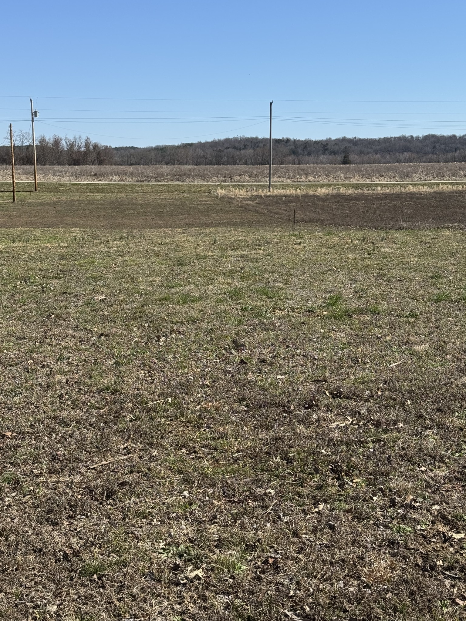 437 Hardin Btm Road Clifton, TN 38425 - Photo 16 of 35