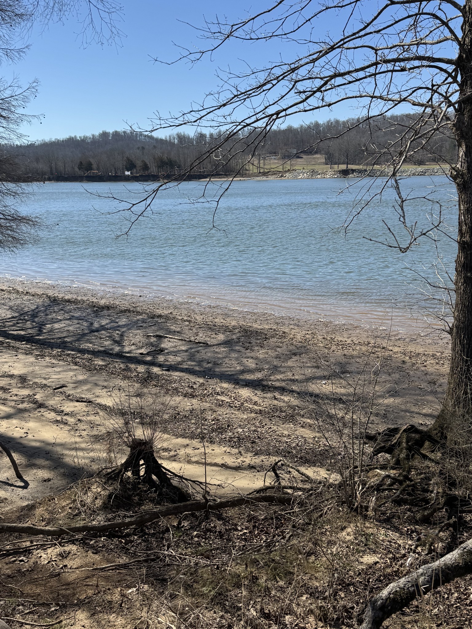 437 Hardin Btm Road Clifton, TN 38425 - Photo 18 of 35