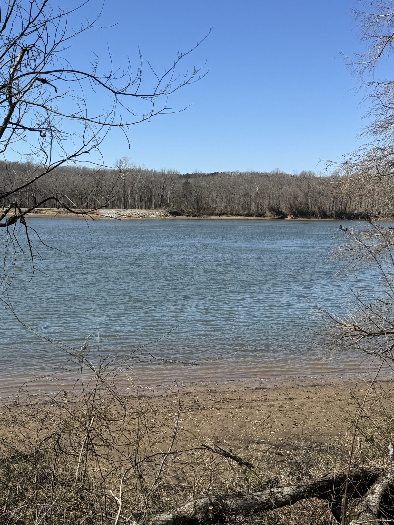 437 Hardin Btm Road Clifton, TN 38425 - Photo 19 of 35