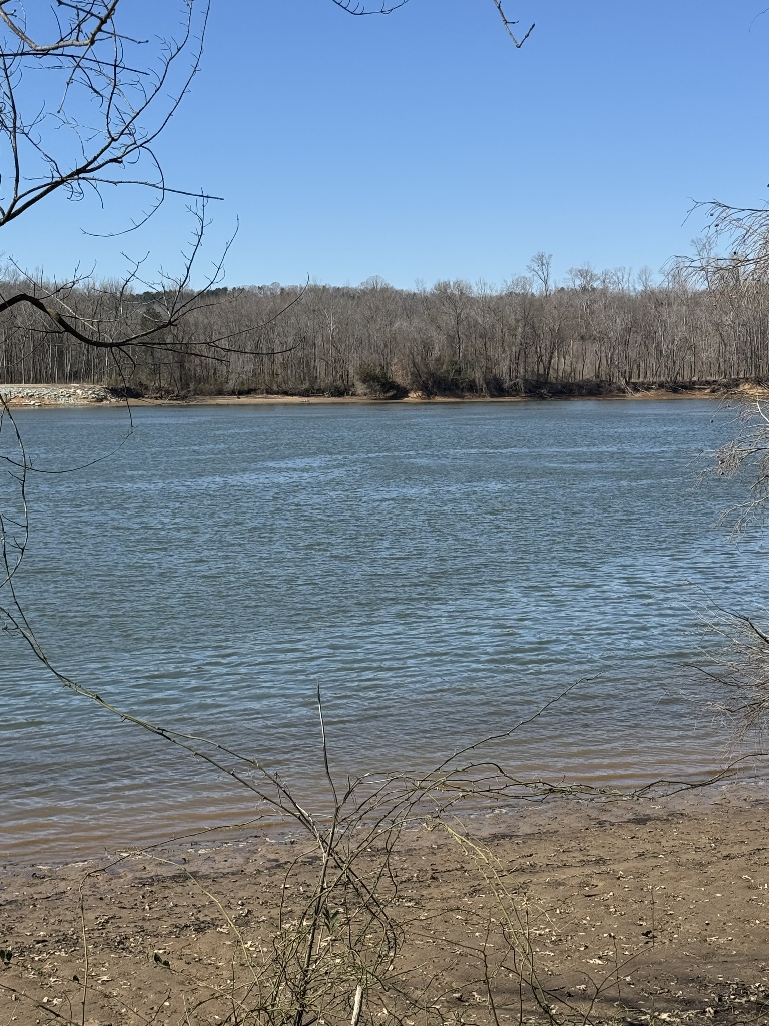 437 Hardin Btm Road Clifton, TN 38425 - Photo 2 of 35