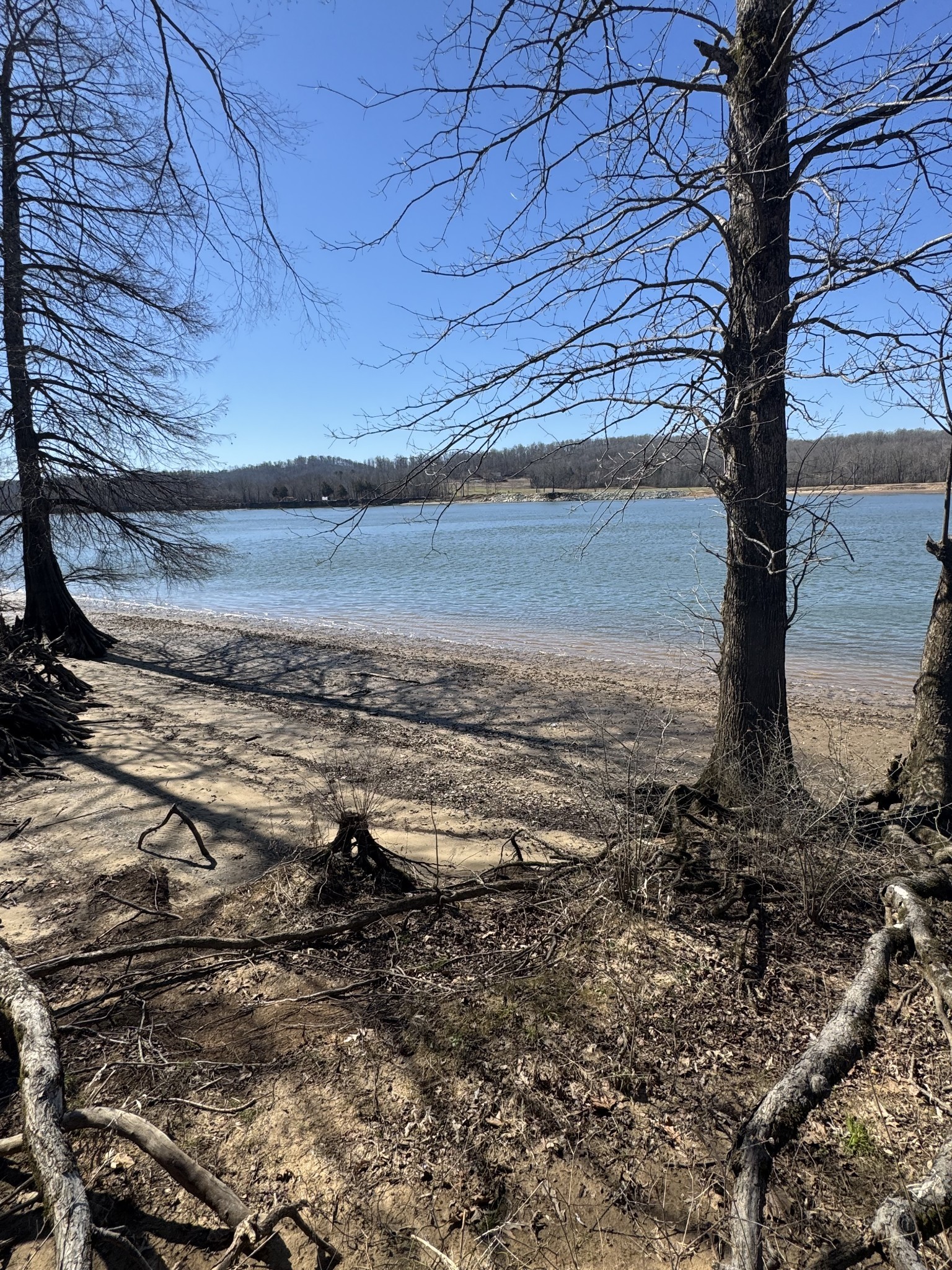 437 Hardin Btm Road Clifton, TN 38425 - Photo 21 of 35